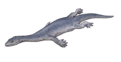 keichousaurus