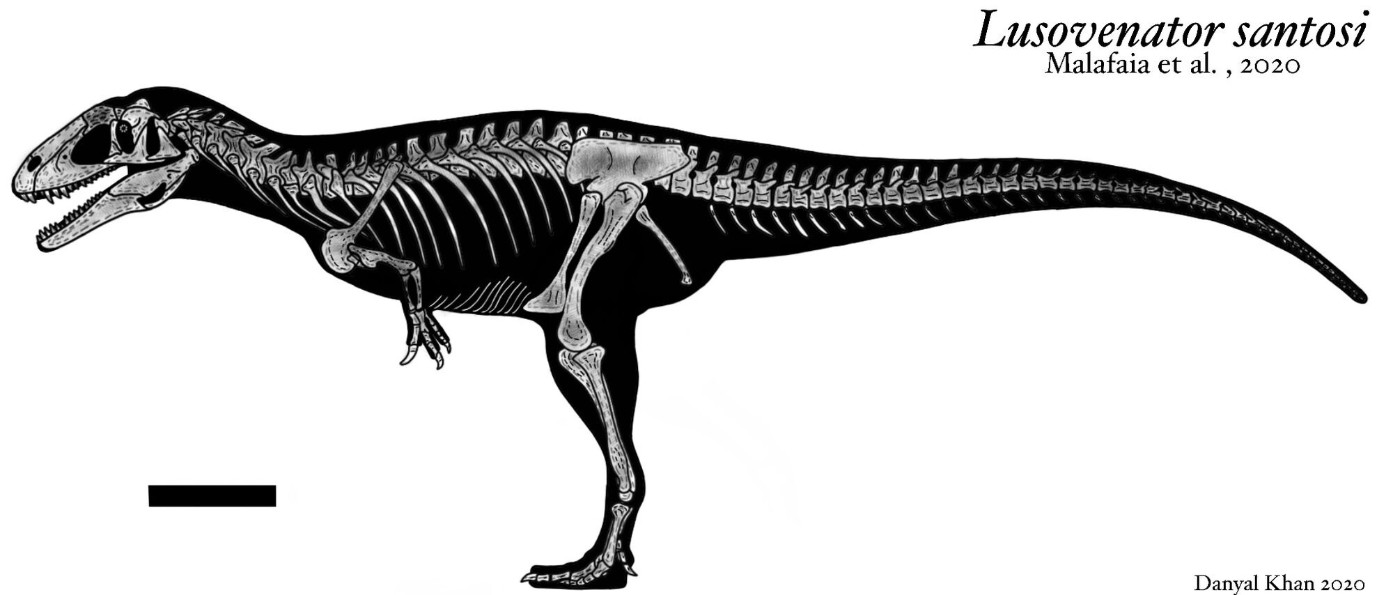 Lusovenator | Dinopedia | Fandom