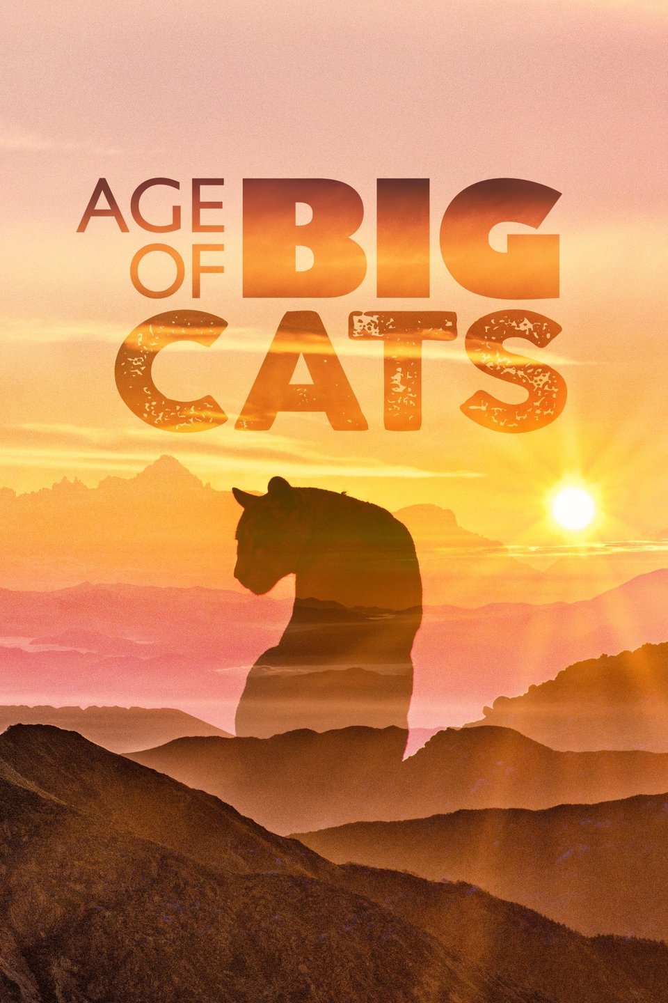 Age of Big Cats | Dinopedia | Fandom