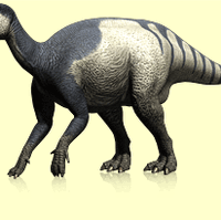 Iguanodon Dinosaursfromtriassic Cretaceous Wiki Fandom
