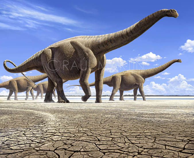 Argentinosaurus | DinosaursfromTriassic-Cretaceous Wiki | FANDOM ...