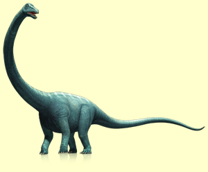 types of brachiosaurus