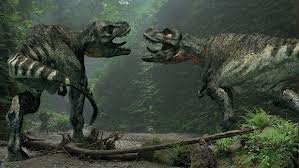 Pair of Rex's