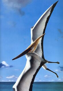 Pteranodon