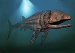 Hugefish