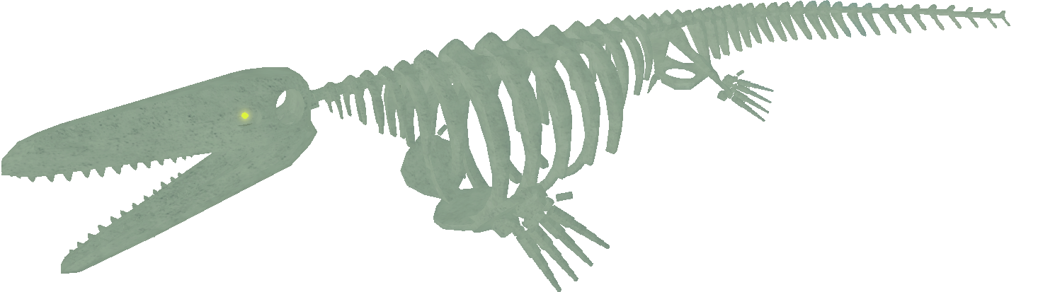 mosasaurus fossil