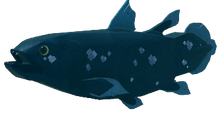 Coelacanth