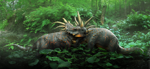 Real Life Styraco