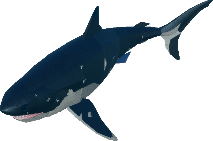 Roblox Dinosaur Killer Whale Games