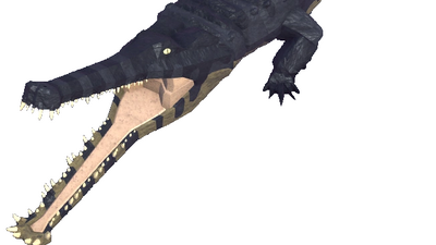 Machimosaurus Dinosaur Simulator Wiki Fandom - machimosaurus dinosaur simulator wiki roblox dinosaur simulator machimosaurus roblox robux event Machimosaurus Dinosaur Simulator Wiki Fandom - roblox dinosaur simulator machimosaurus roblox robux event