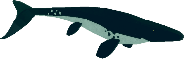 File:Prognathodon.png