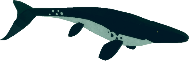 File:Prognathodon.png