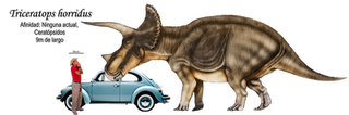 Triceratops horridus