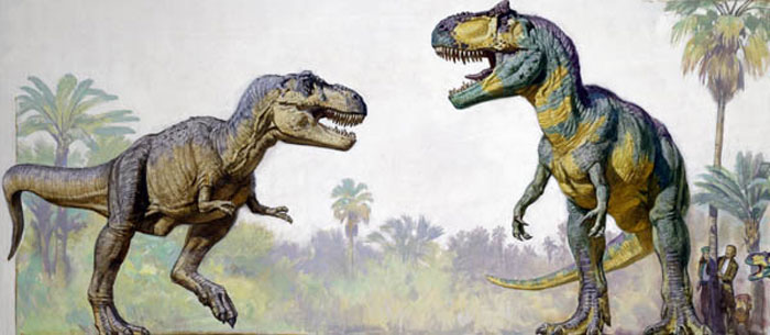 tyrannosaurus rex dinotopia wiki fandom powered by wikia giganotosaurus vs t rex size