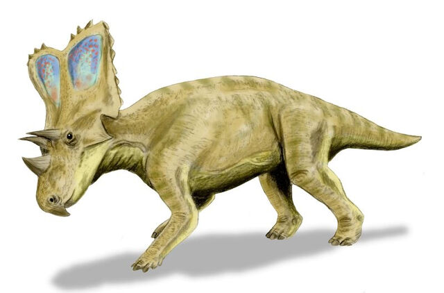 File:Chasmosaurus BW.jpg