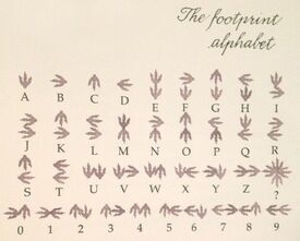 Dinotopia alphabet new