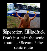 Om senic