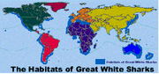 Greatwhitehabitat