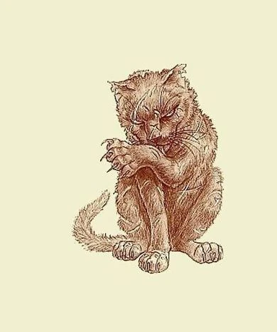 ÐÐ°ÑÑÐ¸Ð½ÐºÐ¸ Ð¿Ð¾ Ð·Ð°Ð¿ÑÐ¾ÑÑ Ð¿ÑÐ°ÑÑÐµÑÑ ÐºÐ¾Ñ Ð³ÑÐ¸Ð±Ð¾