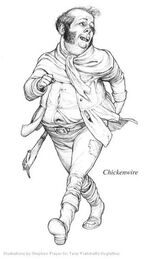 Chickenwire