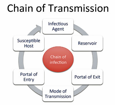 transmission chain disease infection epidemiology wikia portal host susceptible elements agent detectives infectious mode factors quizlet cdc entry wiki exit