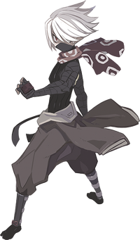 Ninja DD2