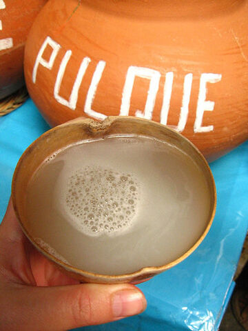 File:Pulque.jpg