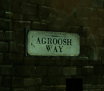 Agroosh Way1