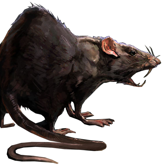 rats dishonored wiki fandom powered by wikia