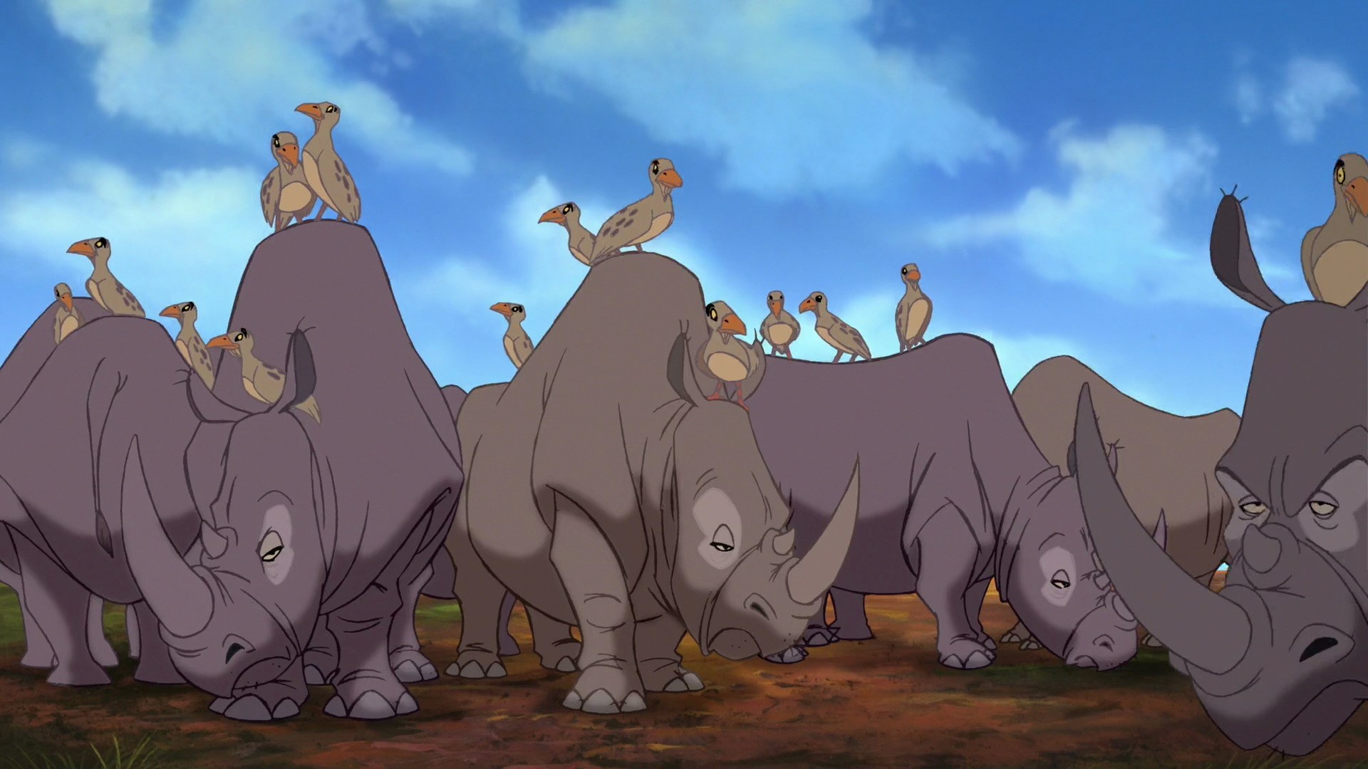 Southern White Rhinoceros | Disney Animals Wiki | Fandom