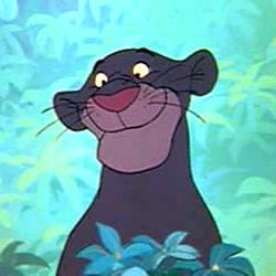 Bagheera | Disney destiny Wiki | FANDOM powered by Wikia