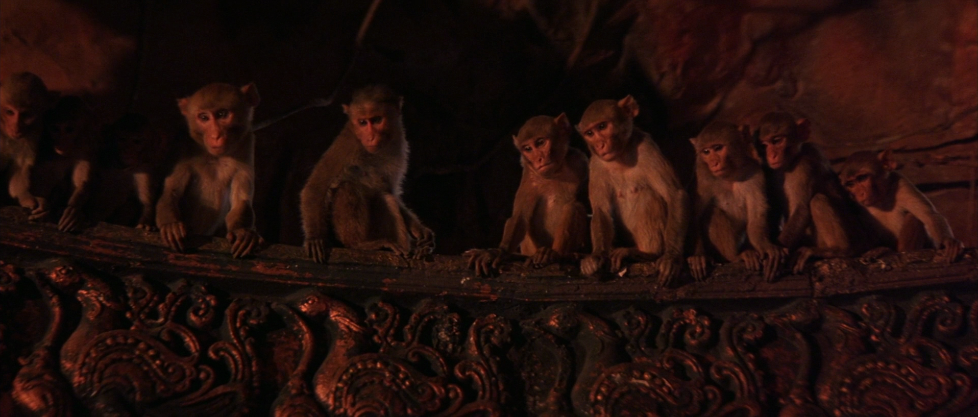 Бандар-Лог Маугли. The Jungle book 1994. Бандерлог книга джунглей. Бандерлоги обезьяны. Бандар лог