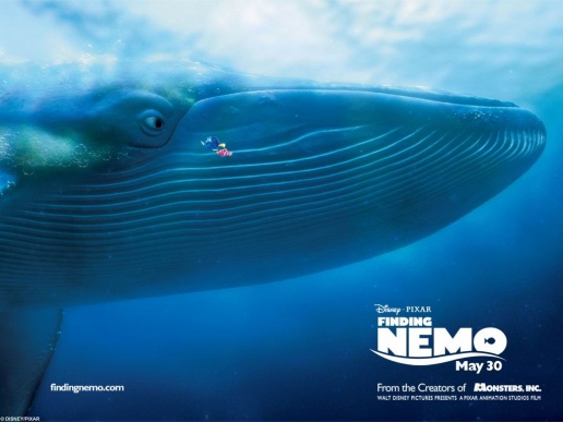 finding nemo whale finding nemo whale