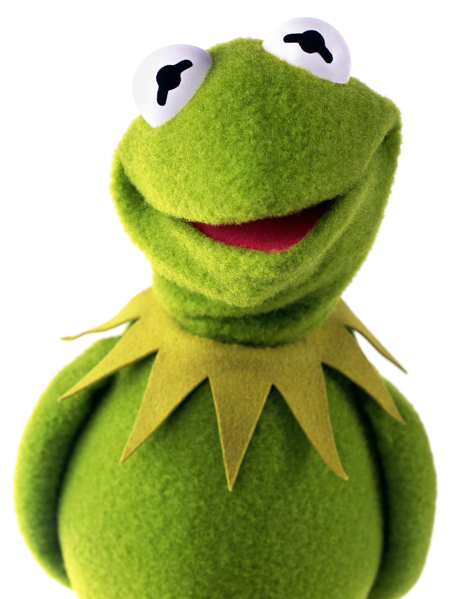 Kermit the Frog | Disney Fan Fiction Wiki | Fandom