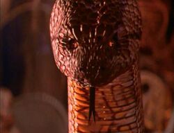 Real Kaa
