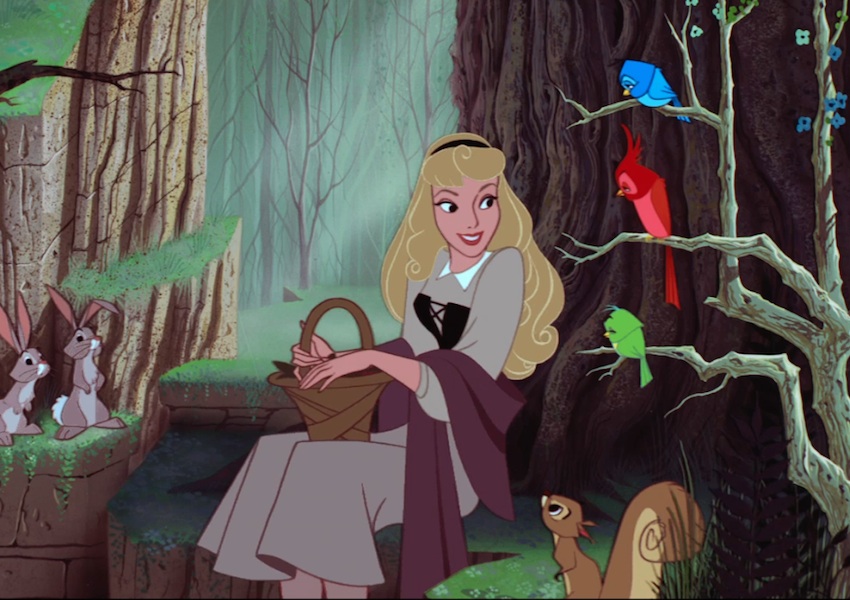 Princess Aurora Disney Fan Girl Wiki Fandom