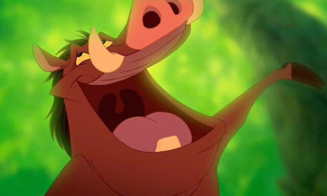 File:Are-you-timon-or-pumbaa-pumbaa-e1431470706371 f7bb49d7.jpeg