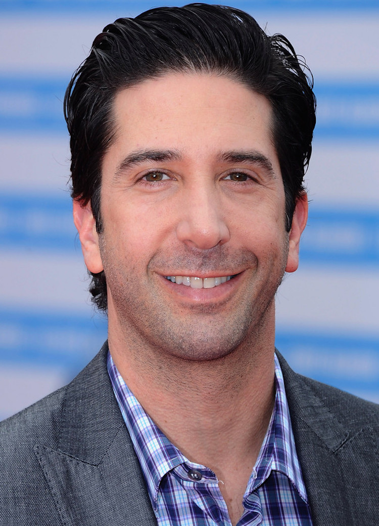 David Schwimmer First Look David Schwimmer Stars In B - vrogue.co