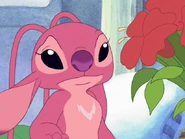 Vlcsnap-2012-07-04-18h43m45s10