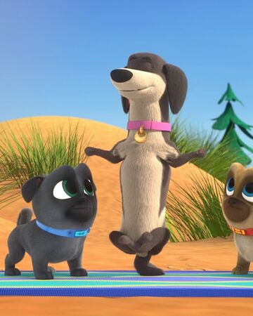 Yoga Pups Puppy Dog Pals Disney Wiki Fandom