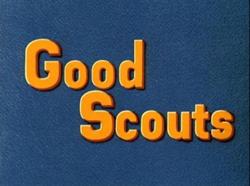 Goodscouts