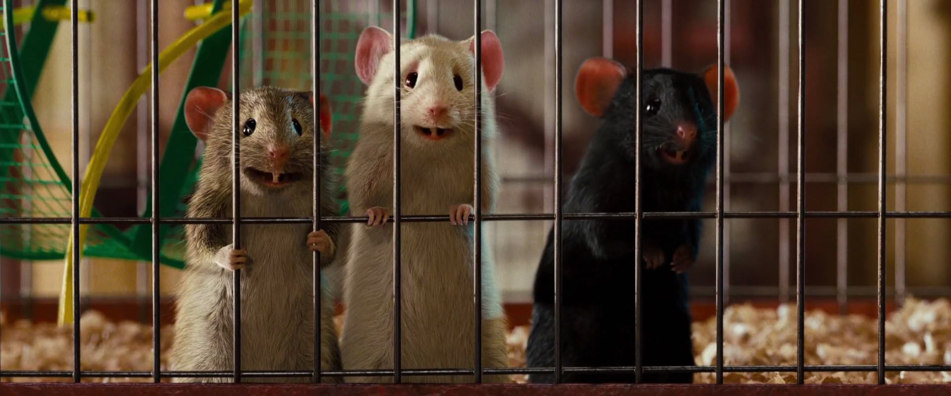 the-mice-disney-wiki-fandom