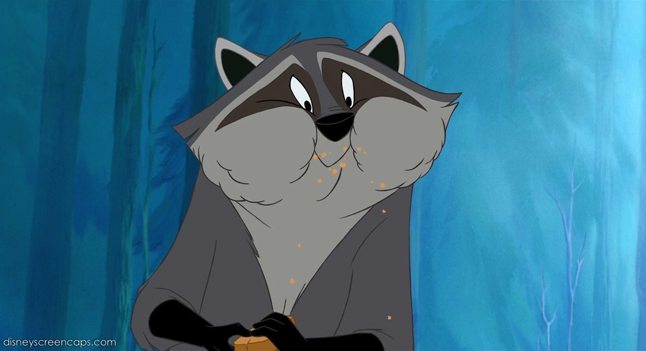 Image Pocahontasdisneyscreencaps com2402.jpg Disney Wiki FANDOM(05)
