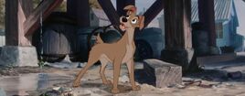 Tramp-disneyscreencaps.com-1487