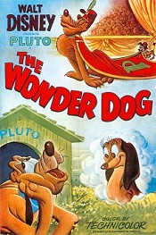 Wonderdog