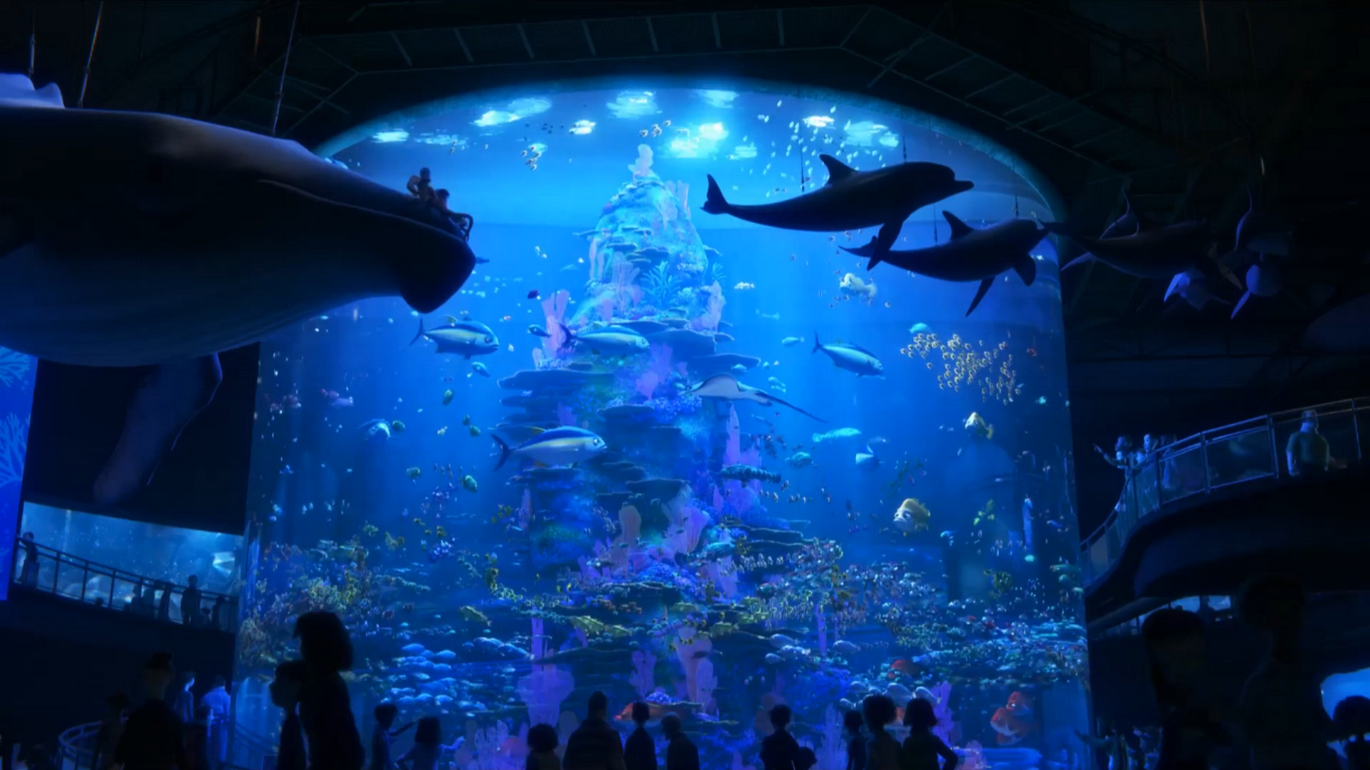 Image Finding Dory 41.png Disney wiki FANDOM powered by Wikia