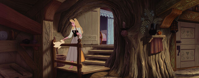 File:Sleeping-beauty-disneyscreencaps.com-1967.jpg
