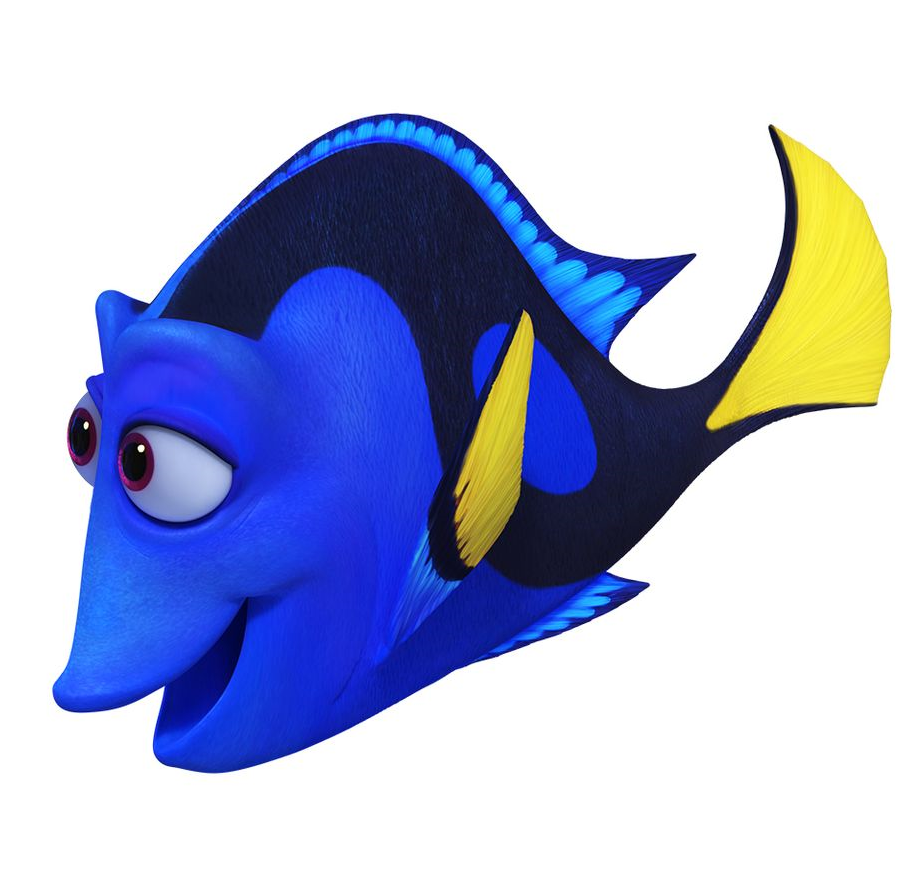 jenny finding nemo disney wiki fandom powered by wikia