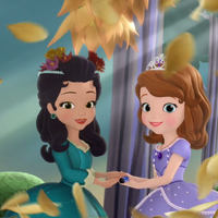 Know It All Disney Wiki Fandom