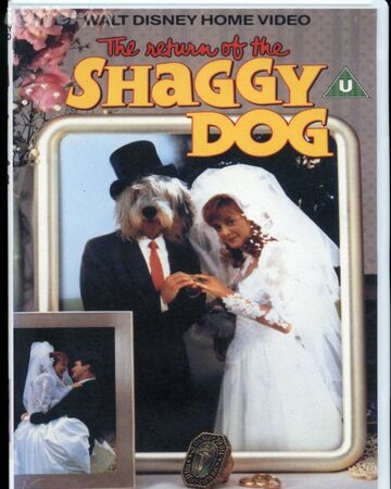 The Return Of The Shaggy Dog Disney Wiki Fandom